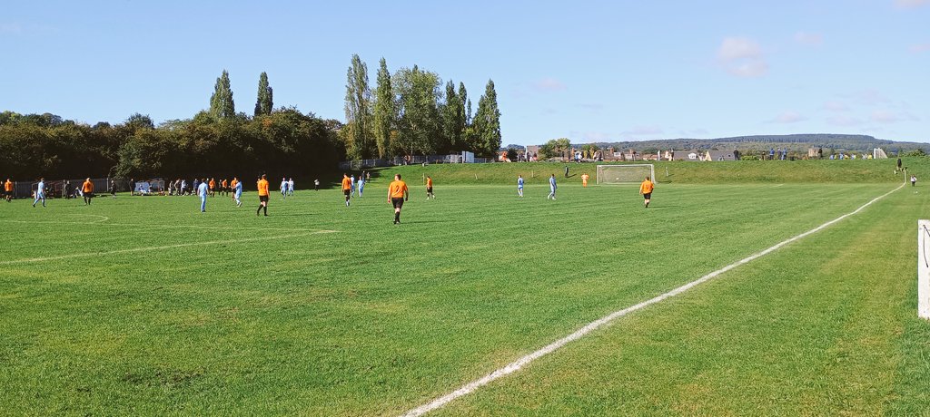 yorkshiregroundhopper tweet media