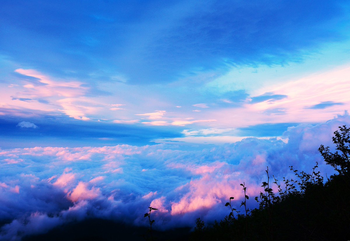 ma_shimo_'s tweet image. 富士山８合目から見た景色