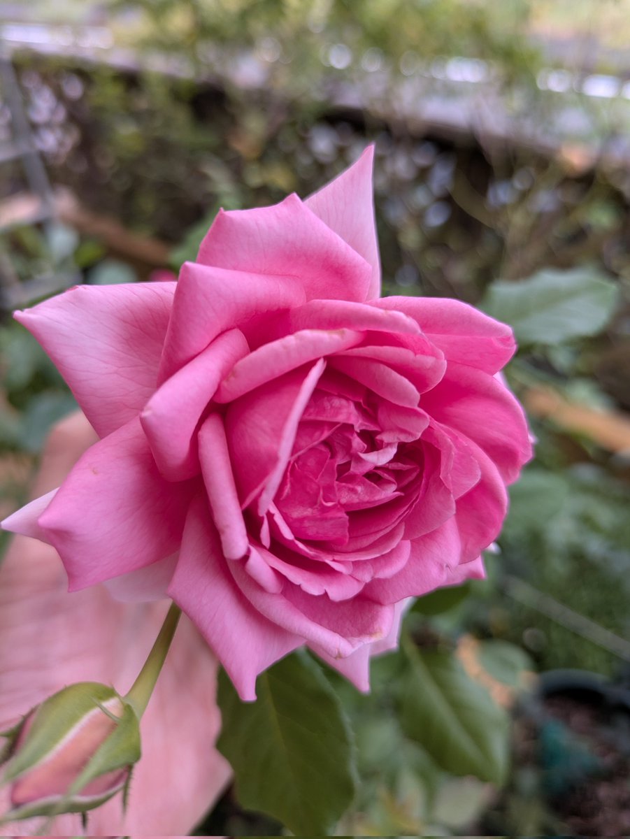 ちーちゃん (@3tQy5nQ8gE0xzcG) / Posts / X