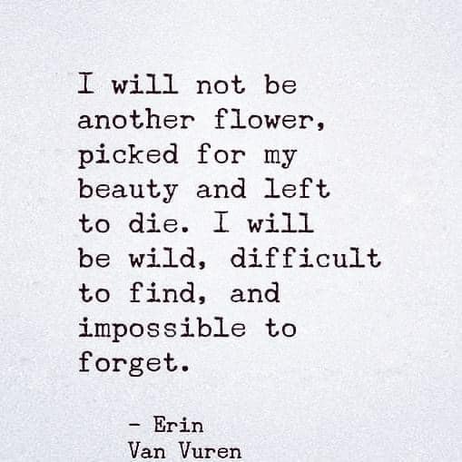 TheScribblerCMB's tweet image. Remind you of anybody? 🥰 #ElizabethBennet? #MargaretHale? #JaneEyre?