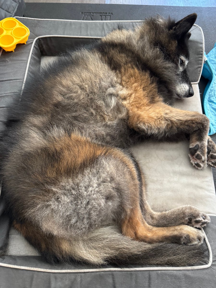 이거 누구 아기야