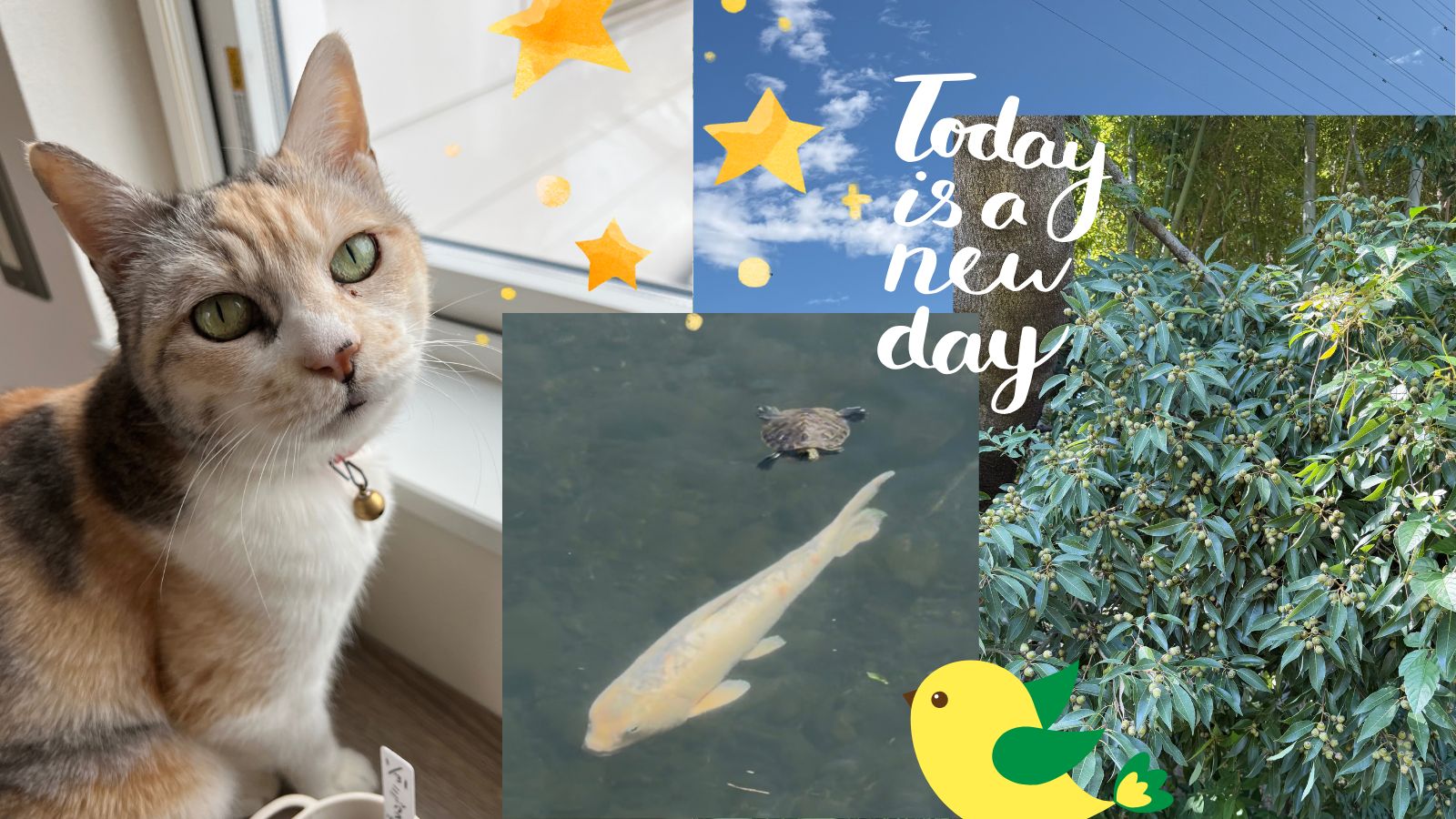 みわみわ(♡❛ ֊ ❛„)ノ🧁✨ (@miwa_3739) / X