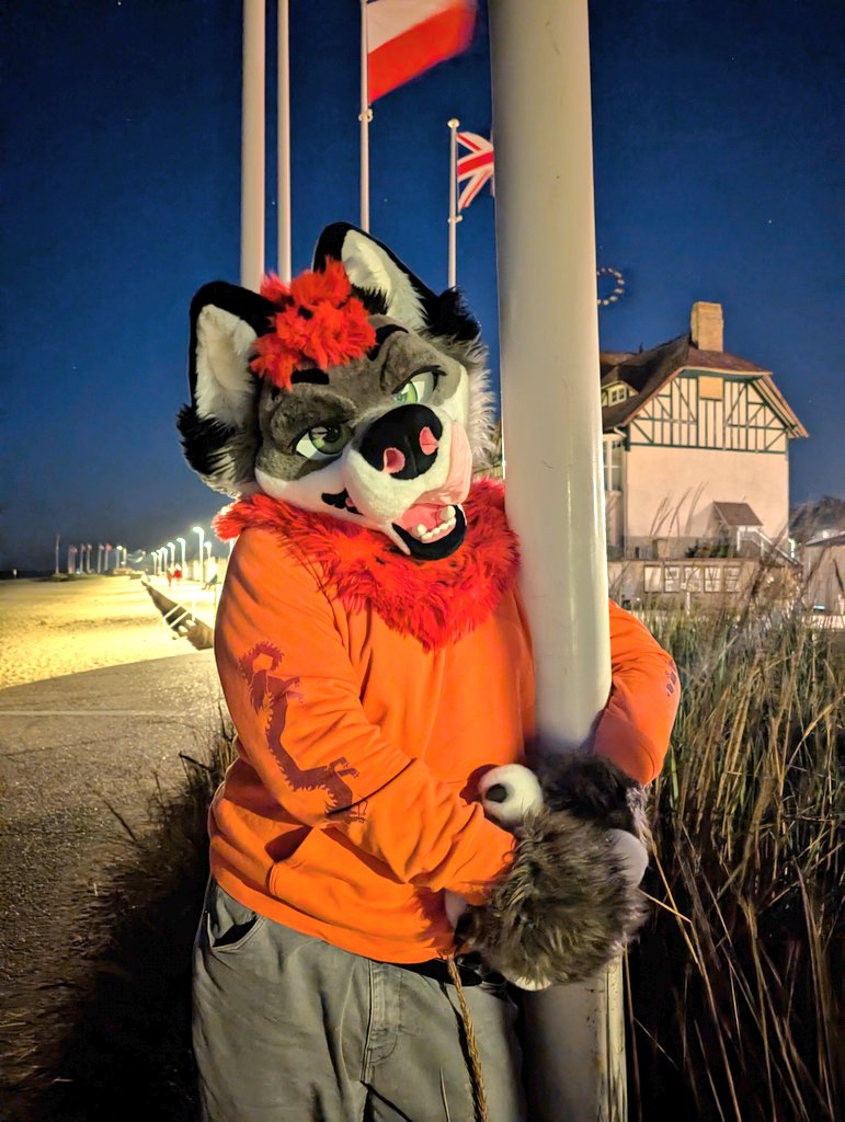 Do you remember, the 21st night of September ~~

Happy 21st September 

#furry #saikasuits #21stseptember