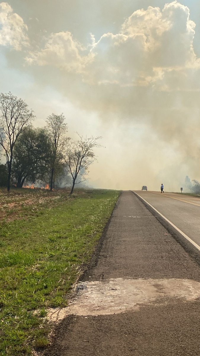 🌳🔥 Incendio Forestal de gran magnitud en la zona la zona del Parque Cerro Corá.

Actualmente personal Bombero de K51 Pedro Juan Caballero está trabajando en el lugar, mientras otras compañías están en camino para el apoyo.