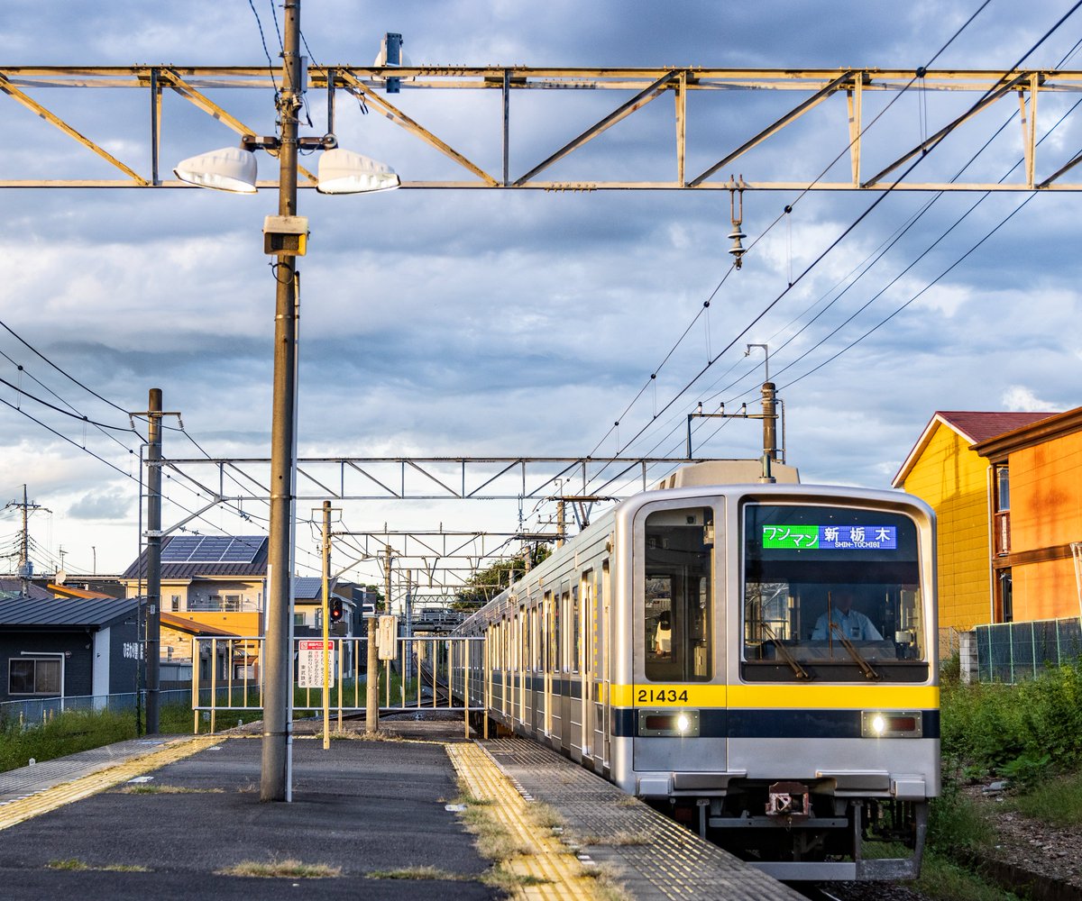 薄茶 (@hiro115_1020) / Posts / X