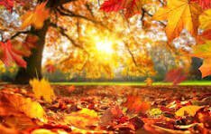 I once broke up with a guy in late September. He told me, “It’s going to be October soon  &amp;you’ll see me happier than you’ve ever seen me.” Gee, thanks, dude. But me too.