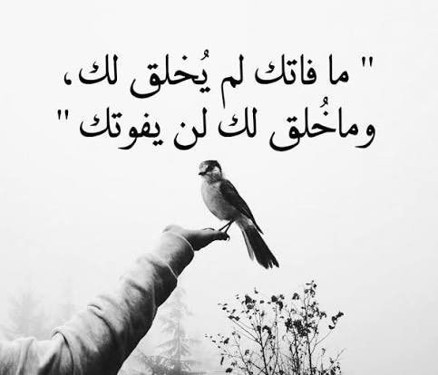 نوره بنت فهد الجهيمي tweet media