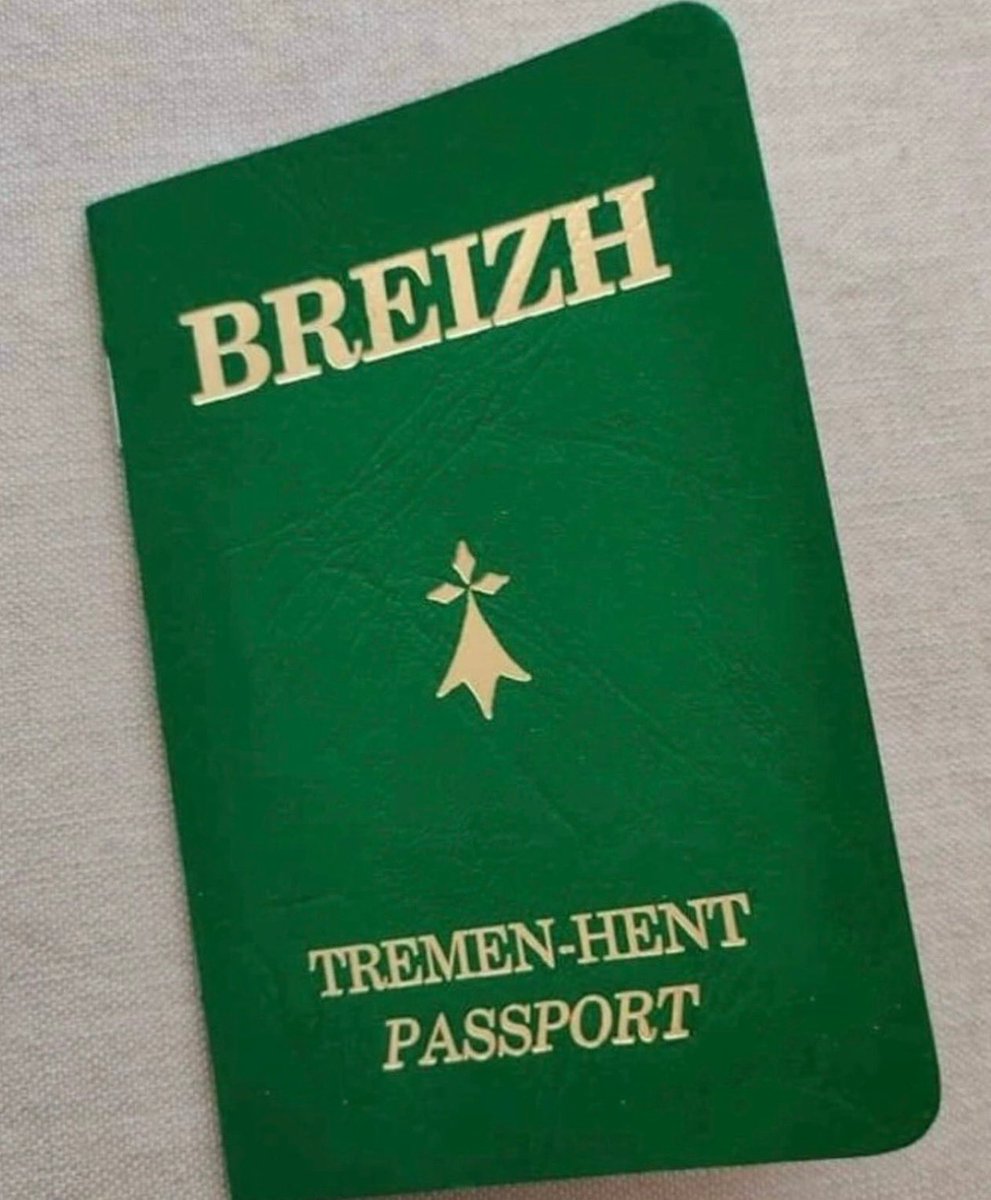 mam gouz dirait pas mieux