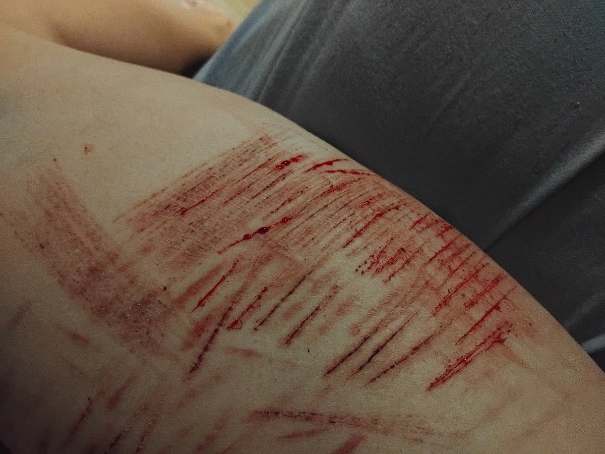 ʜᴜɴ!🐝( ´ཀ` ) ʜᴇ/ʜɪᴍ tweet media