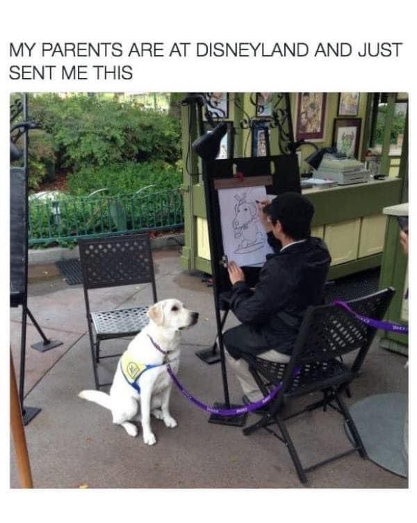 PuppiesIover's tweet image. 