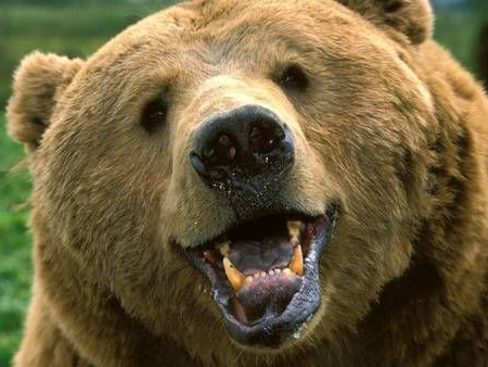 A na miłą dobranoc astronomiczną - przedwczorajsza koniunkcja Księżyca, Saturna i Neptuna; w sensie naukowym nic to ważnego, chyba że ktoś jest astrologiem, to wtedy też nic. Ale zawsze miło zobaczyć, jak sie ktoś do nas zwraca uśmiechniętym pysiem z kosmosu.