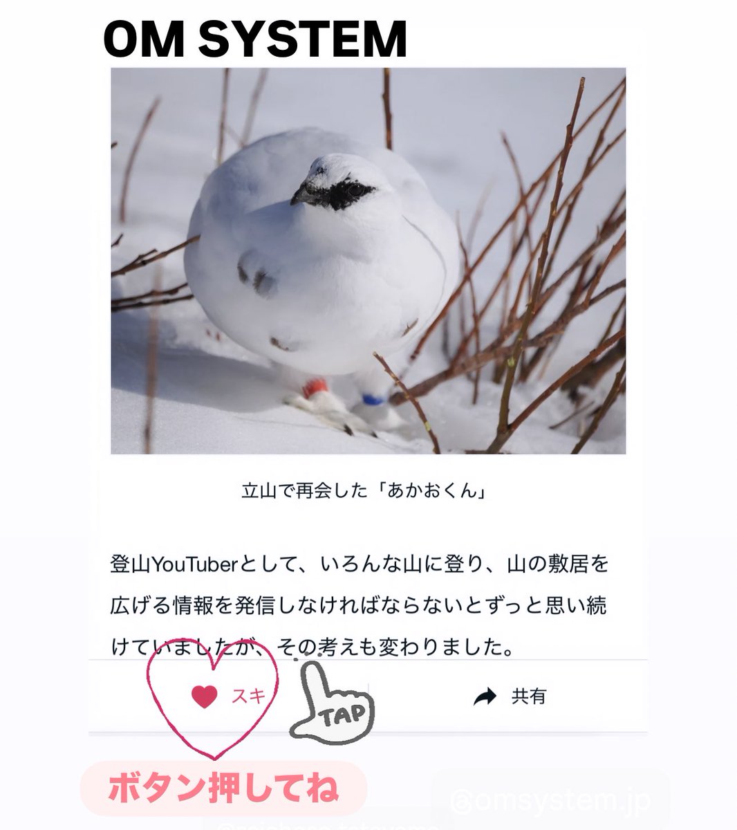 やぎちゃん ヤギちゃん (@yagichan0106w) / Posts / X