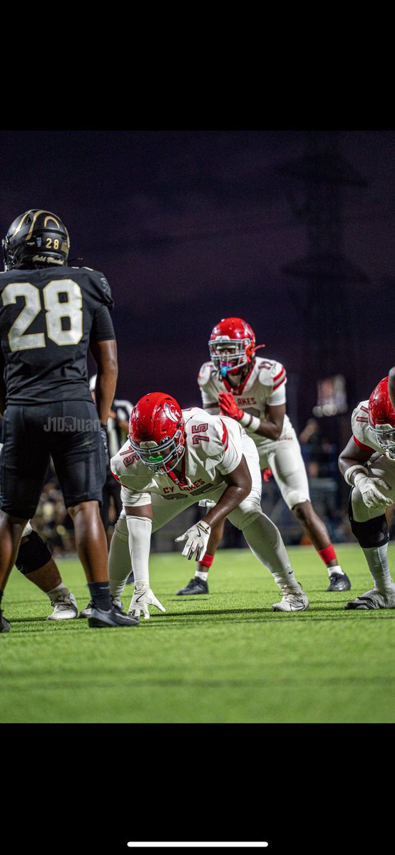 🦍
