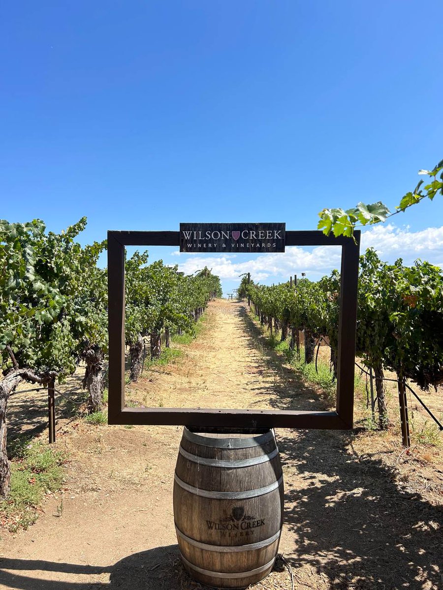 Donum is a bit deserted in winter and the gardens may not be as beautiful as in summer. But I did see donkeys helping to fertilize the winery.