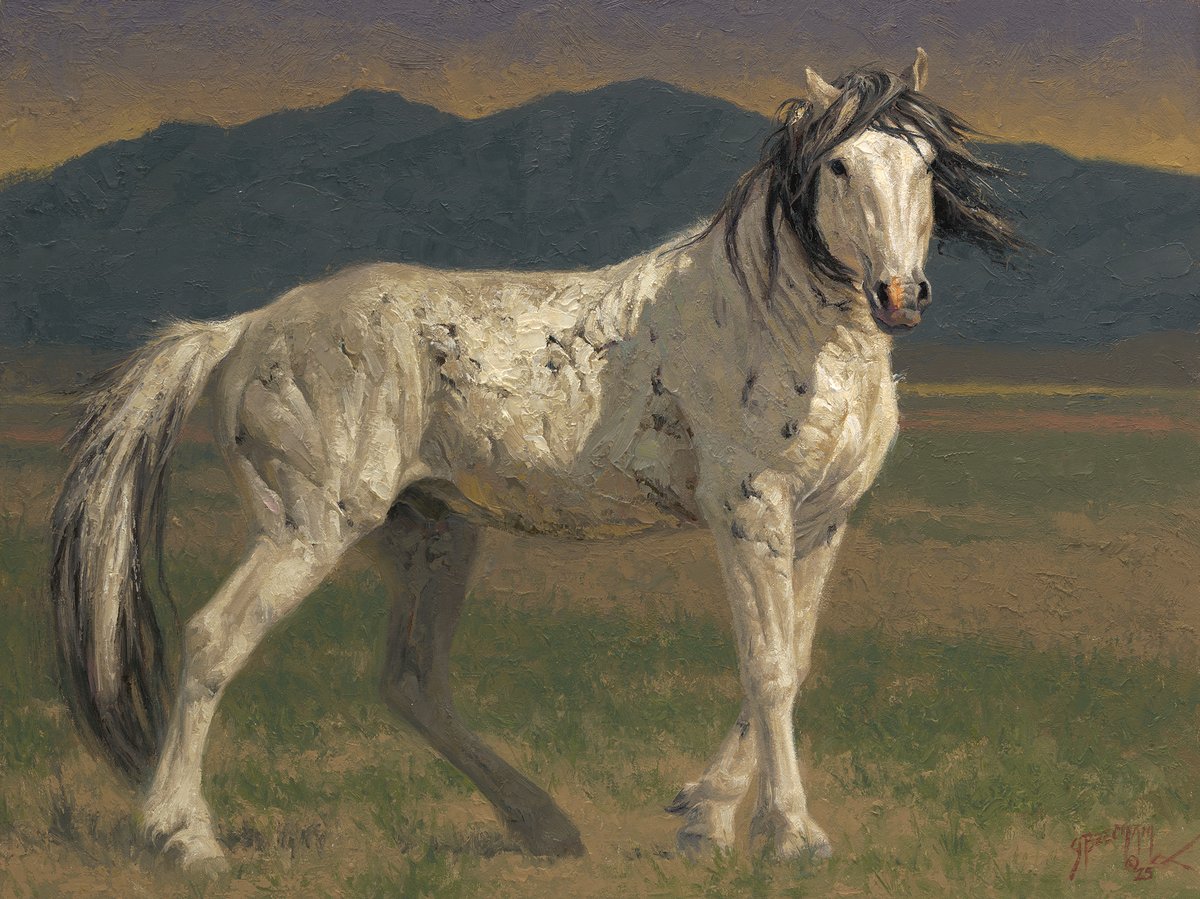 gregbeechamart's tweet image. “Battle Scarred” – 12”X16” – oil on linen board