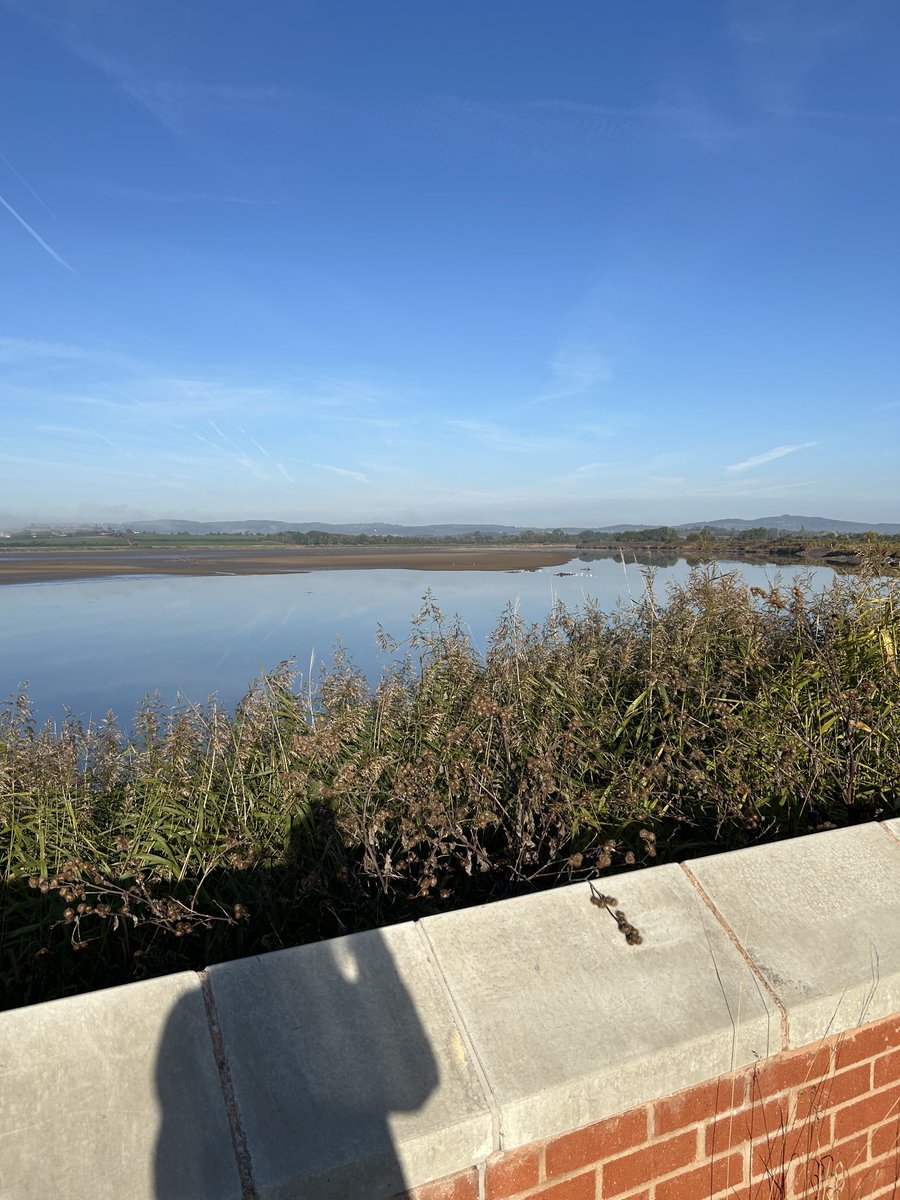 katespatch's tweet image. When you drop a bouquet off &amp;amp; this is their view!! #riversevern Pilaties cancelled so gardening it will be!