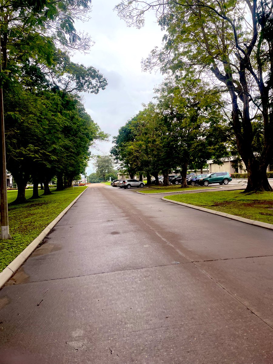 Gee em people!!!

Say it back