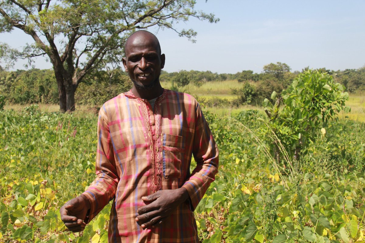 Dans le nord du #Bénin, des agriculteurs comme Issa Séidou transforment leur quotidien grâce au projet #PRRéCAZ soutenu par la 🇧🇪.

📈De nouvelles techniques agricoles, une productivité doublée et une diversification des revenus.#ODD13

Lire son histoire👉 go.undp.org/wHN