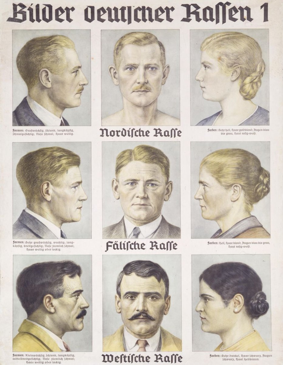 La "racistificación" de los odios y de las jerarquías intra-europeas fue limitada y generalmente data de 1870-1940, cuando los que postulaban su superioridad pretendían entrenar el ojo de los suyos a una pretendida inferioridad física del Otro, realmente indistinguible.