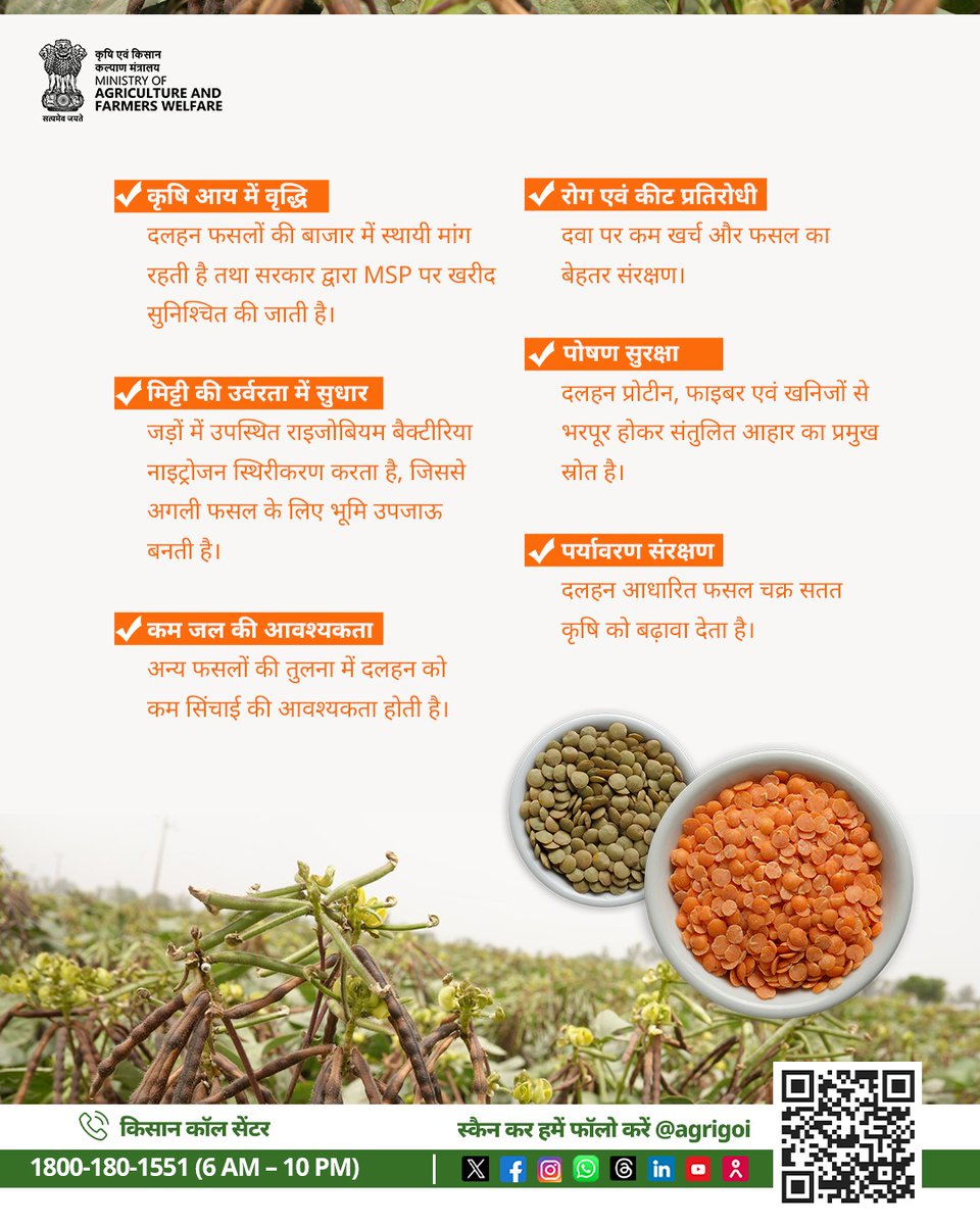 AgriGoI's tweet image. 🌱 दालें – सेहत भी, संपन्नता भी! 
दलहन की खेती से बढ़ेगी किसानों की आमदनी, मिट्टी की उर्वरता और पोषण सुरक्षा।
कम पानी में अधिक लाभ और बेहतर पर्यावरण संरक्षण का सशक्त साधन।

👉 जानें क्यों दलहन की खेती है फायदेमंद!

#AgriGoI #Pulses #NutritionSecurity #FarmersFirst…