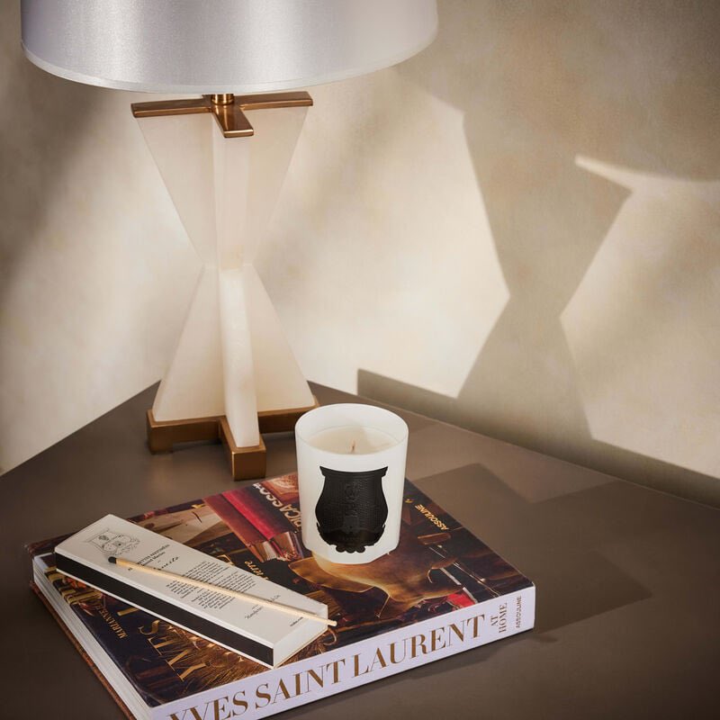 قد يبدو الشيء صغيراً حتى يكاد يختفي في زحمة العالم لكنه يحمل في داخله قوة تفوق حجمه أضعافاً 
عود ثقاب واحد يمكنه أن يحوّل غابة كاملة إلى رماد
سحابة عابرة قد تحجب شمساً ساطعة وتغيّر ملامح النهار 
نغمة بسيطة من ربابة قد تسقي صحراء القلب العطشى بما تعجز عنه أنهار الكلام
القهوة تبدو