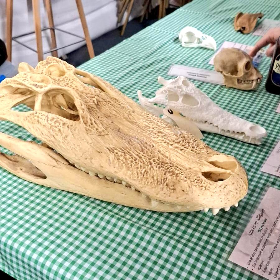 🍻 Croctoberfest was hopping! Every drop of beer was drunk, and every seat was taken! 

Thanks to everyone who joined us for a packed and brilliant night.
#Lab25 #LabourConference2025 #Croctoberfest