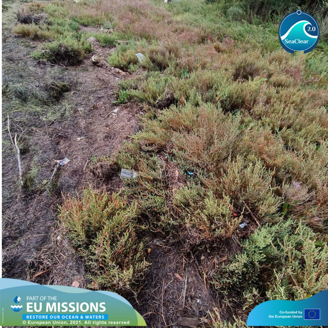 SeaClear 1 & 2 tweet media