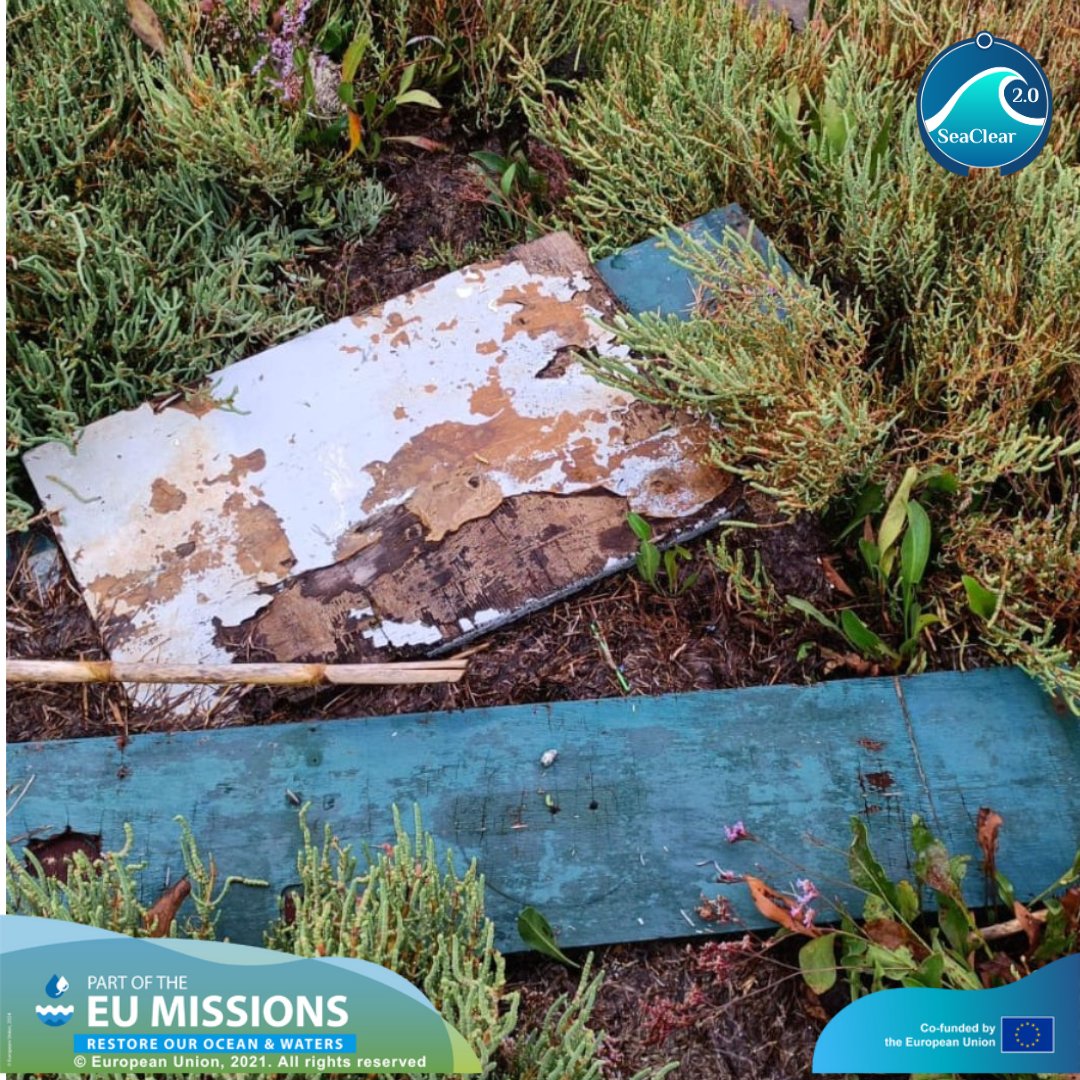 SeaClear 1 & 2 tweet media