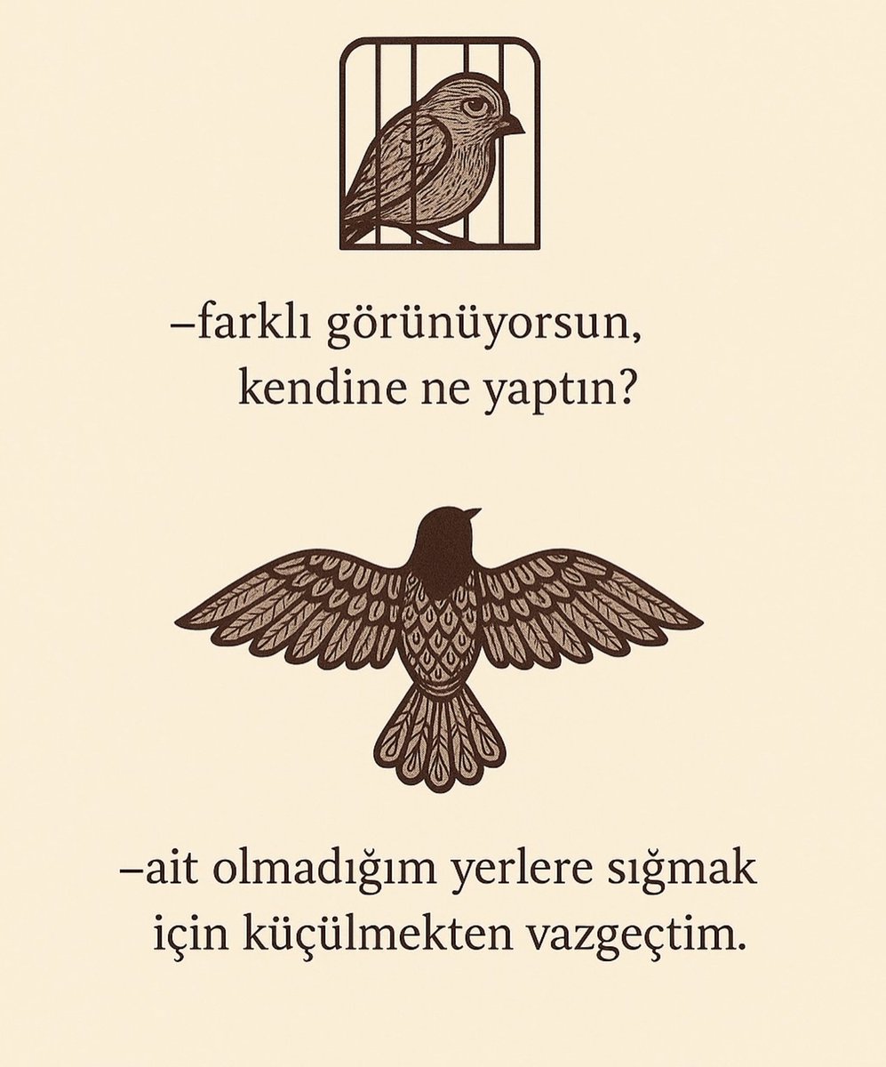 Bir gün var asra (@birgunvarasra) on Twitter photo 