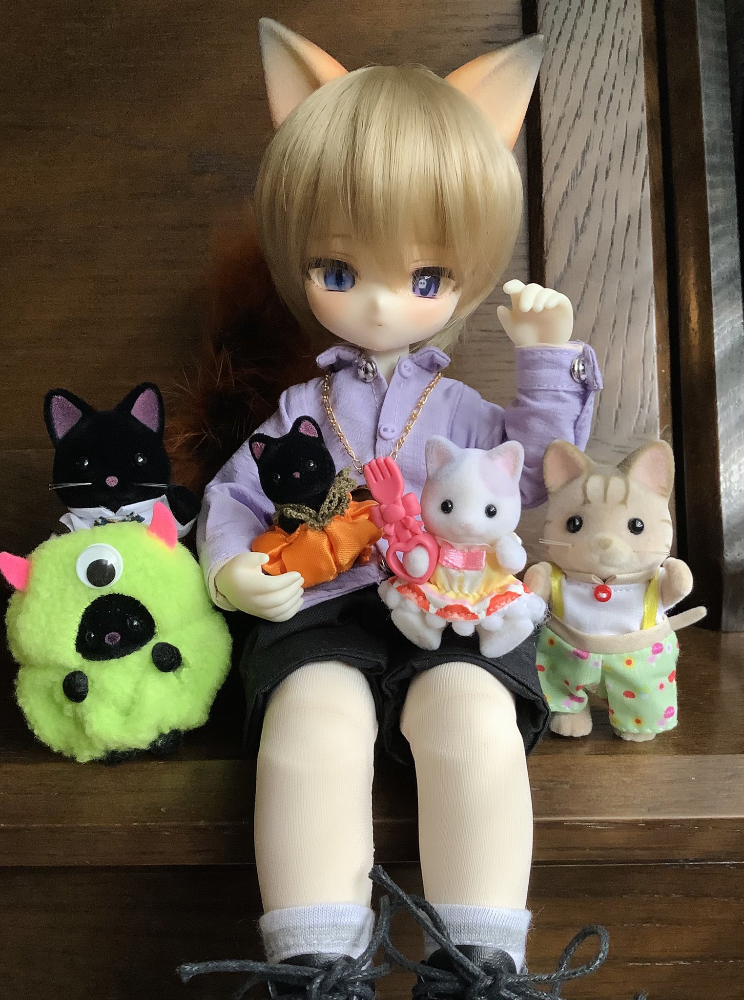 シルバニア　オーダー　にゃんきゅっぱ シルバニア オーダー にゃんきゅっぱ parts]PICK UP