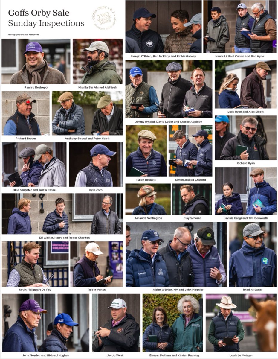 Spotted <a href="/Goffs1866/">Goffs</a> Orby 👀