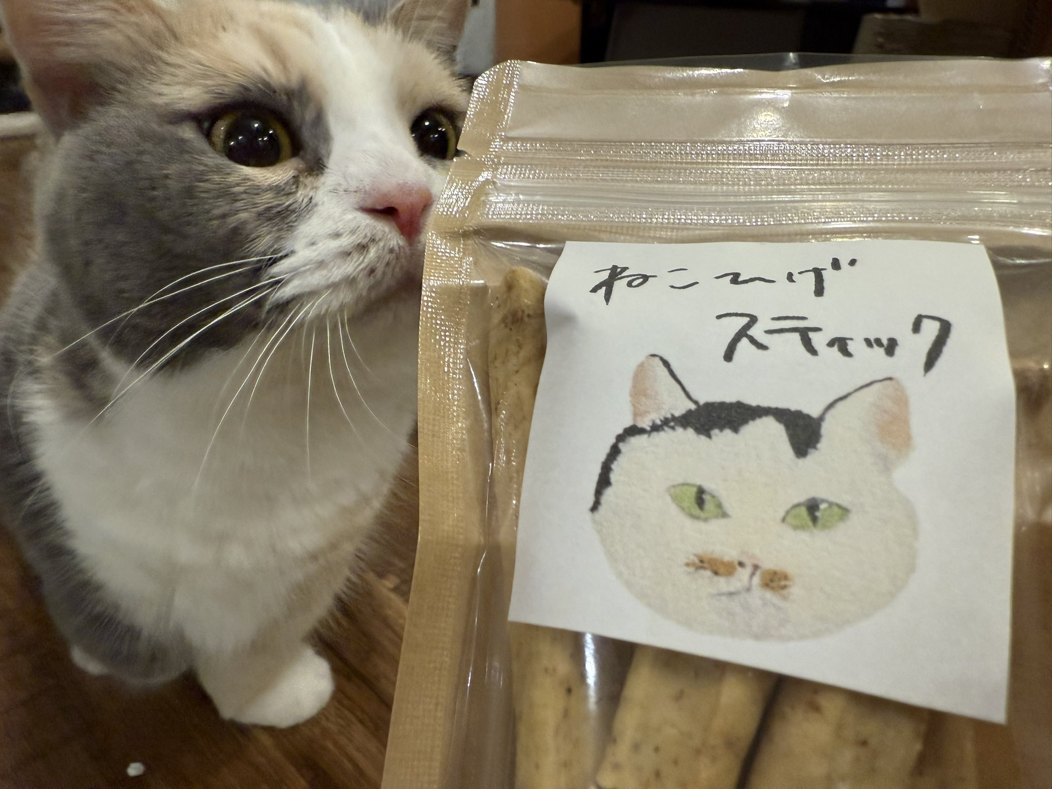 まんまるさま専用（原画）豊かな輝き ほか　6点おまとめ 猫まる茶屋 on X: 