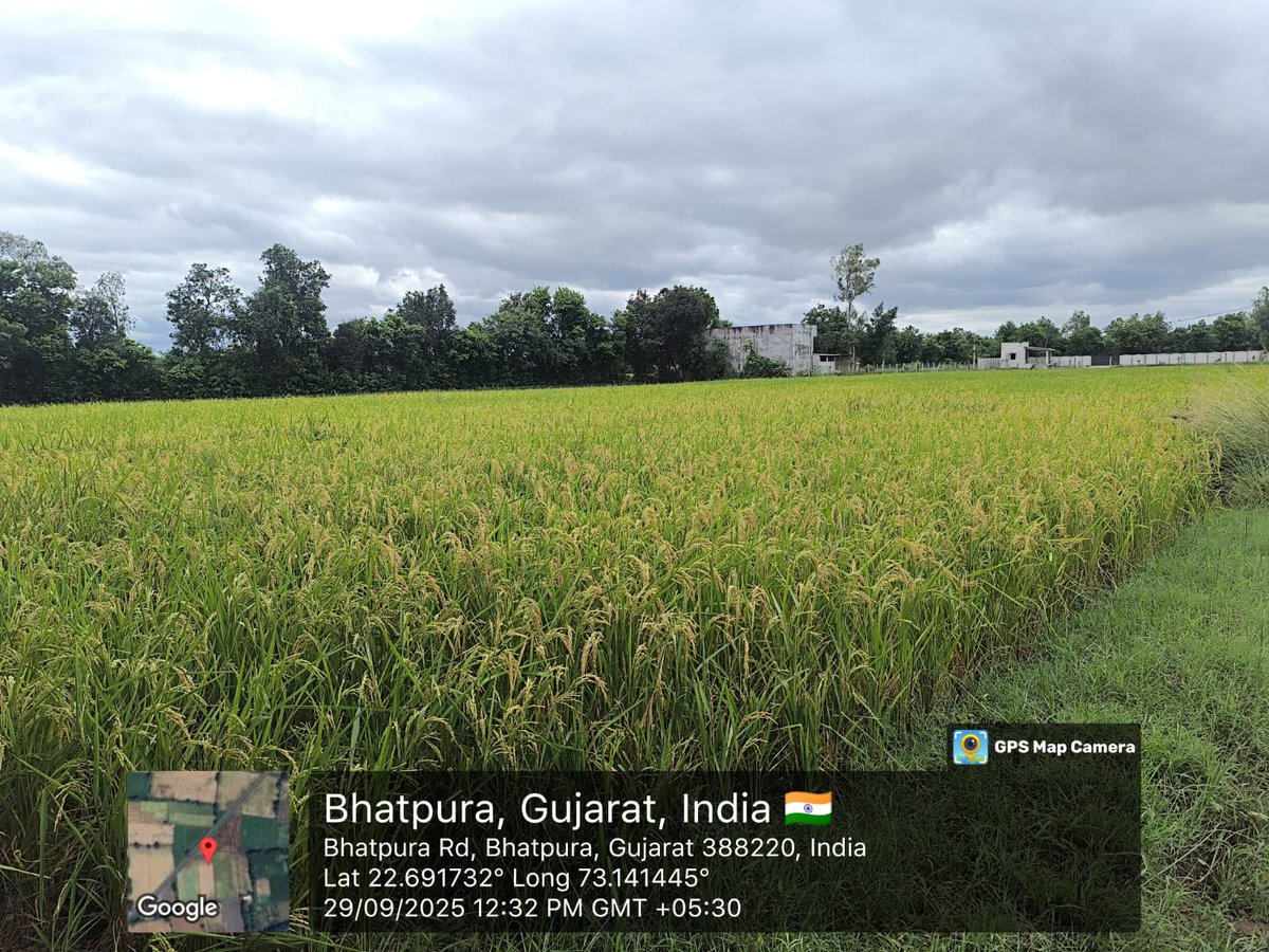 આજ રોજ ઉમરેઠ ગામે મામલતદાર કોર્ટ એક્ટ હેઠળ દાખલ થયેલ કેસના સ્થળ સ્થિતિ પંચકયાસ માટે સ્થળે ગયા હતા અને પંચરોજકામ કર્યું હતું.
<a href="/revenuegujarat/">Revenue Dep. Gujarat</a> 
<a href="/CollectorAnd/">Collector and DM Anand</a> 
<a href="/ero_anand53446/">SDM Anand</a> 
<a href="/DsoAnand/">dso anand</a> 
<a href="/ddoanand/">DDOANAND</a>