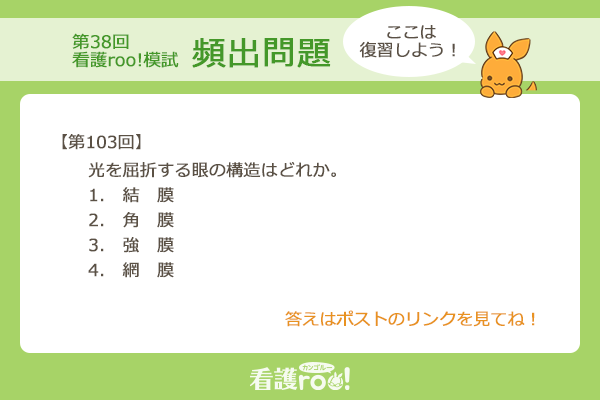 書き込みなし⭐︎ 看護過去問多数　⭐︎ 書き込みなし⭐︎ 看護過去問多数 ⭐︎ 看護学生 - Cerca / X