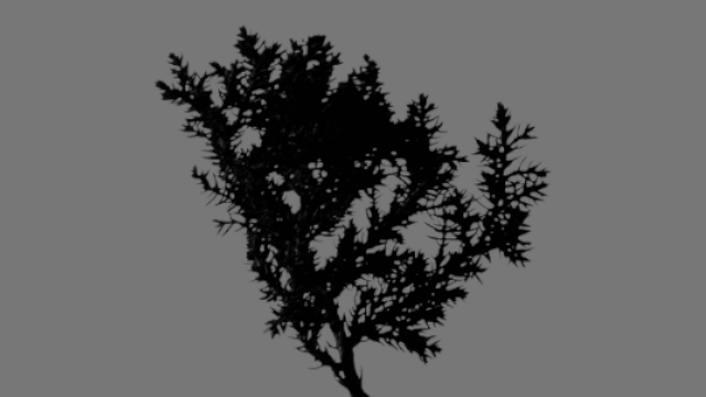 حرف 𝕏 ومعنى tweet media