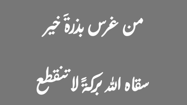 حرف 𝕏 ومعنى tweet media