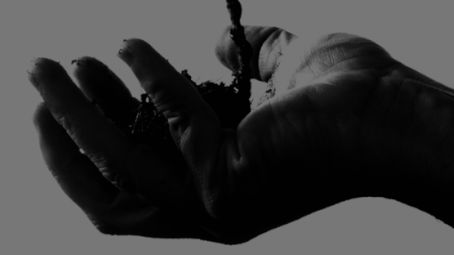 حرف 𝕏 ومعنى tweet media