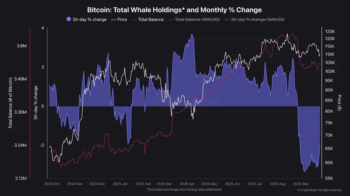 🐋 Whales are selling – Bitcoin whale holdings dropped by over 300k coins  in just weeks. 📉 This shift from accumulation to distribution adds clear  supply overhang. 👉 What does it mean
