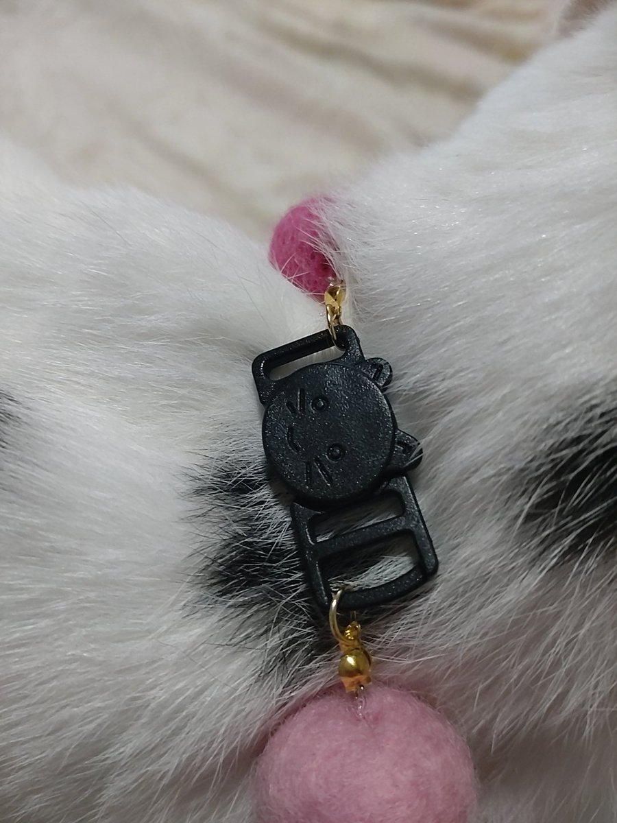 Xお友達のゆんゆさんから
凜ちゃんの首輪を作って頂きました！
名前入り、カギ？も猫ちゃんで
とてもかわいいです😻
ありがとうございます🩷