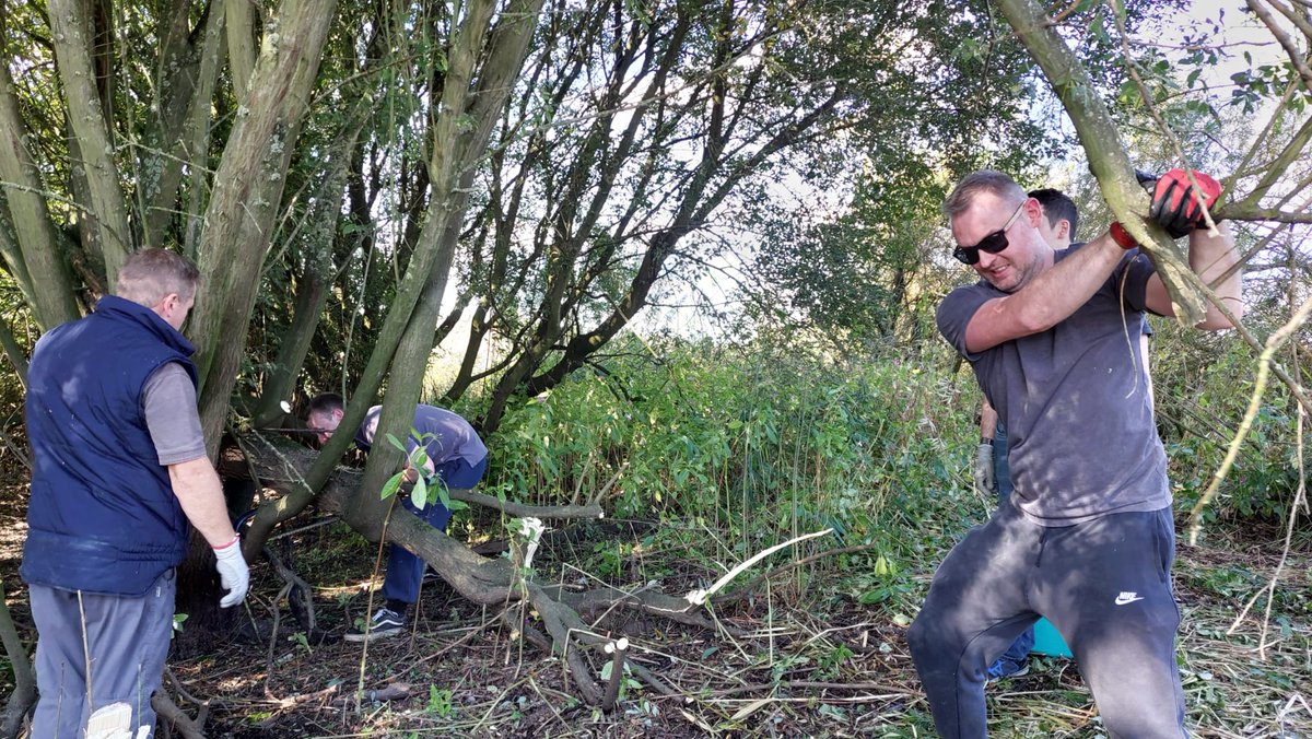 Always nice to welcome a team from <a href="/DraxGroup/">Drax</a> to the #LDV, and with so many extra pairs of hands and plenty of hard work, the team did an outstanding job helping us tackle willow growth in the reedbed (reducing the height/density of cover to benefit a range of species) 👏👏