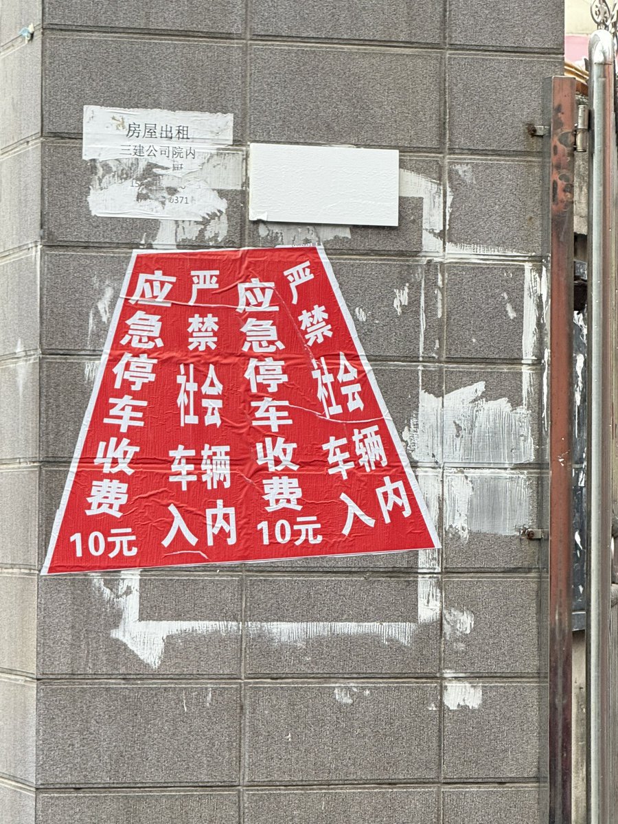 鱼饼 tweet media