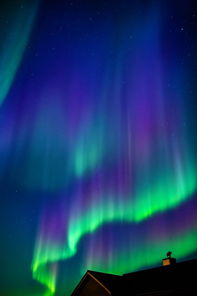 Mo Williams tweet media