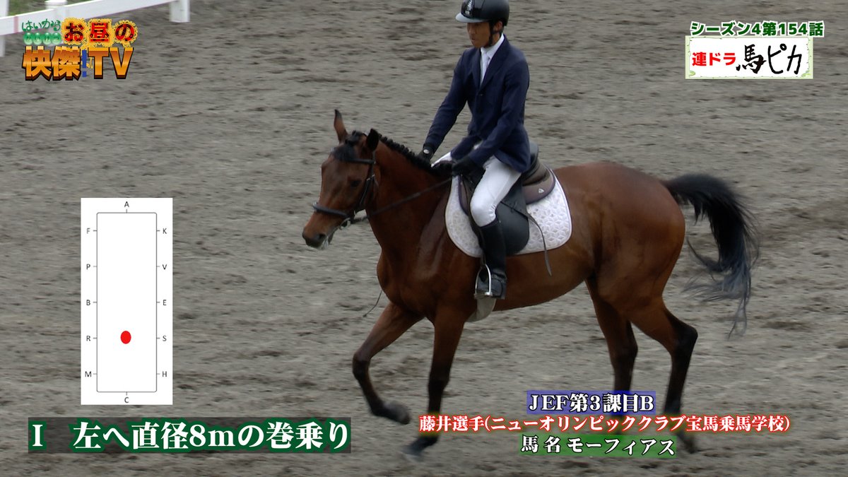 bashadaigaku's tweet image. 9/28放送の「お昼の快傑TV」のコーナー「馬ピカ」の競技会ハイライトシーンほかそうさ市自慢話その4/東京・亀戸天神通りのピカ旨おにぎり youtu.be/1DRVfC4NJFA #お昼の快傑TV #馬ピカ #バラエティ番組 #匝瑳市 #乗馬クラブ #宮内康幸 #ズーコーヒー #おにぎり豆蔵 #亀戸天神