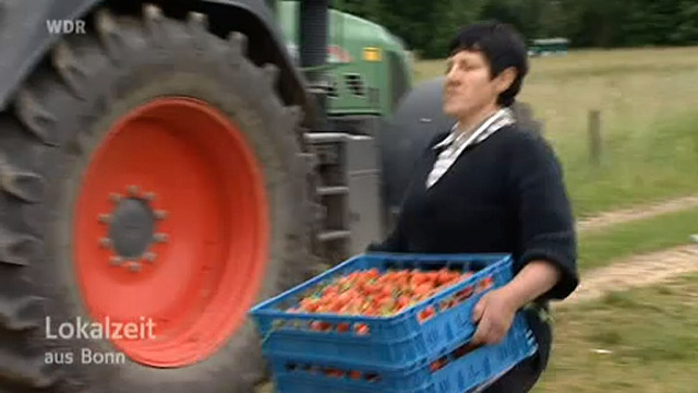 Neu im Softwareführer "bio-ernte.midcom.de" #Landwirtschaft bit.ly/42dx8ui
