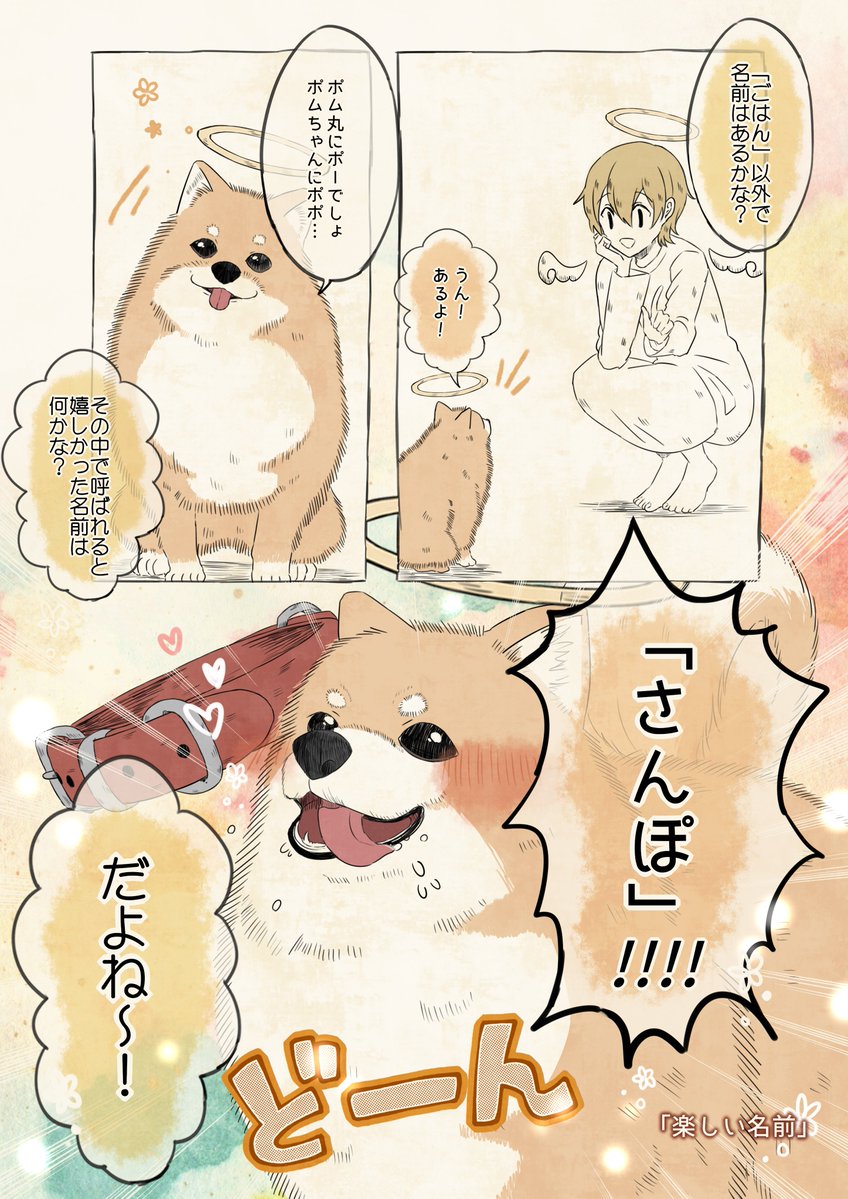 自分の名前を勘違いしているポメラニアン②