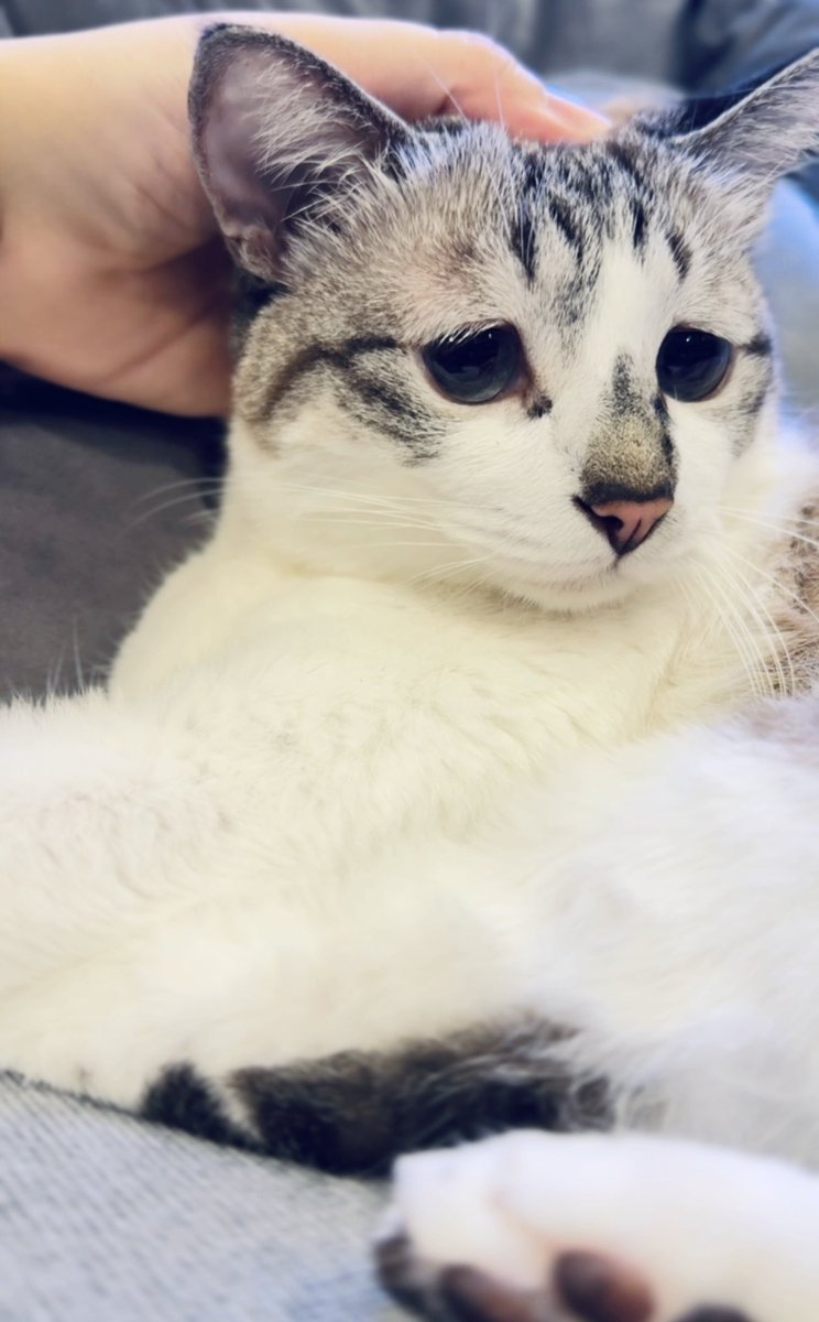 キリッ✨️
ぴえん🥺