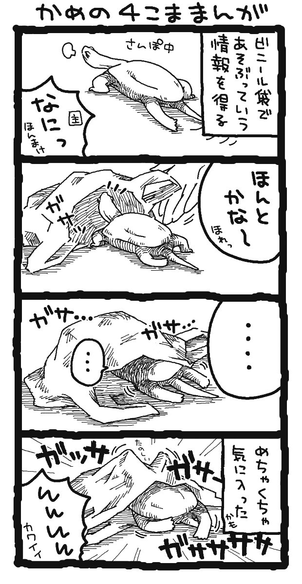 PKkamekawaii's tweet image. #亀  #クサガメ  #爬虫類 

けっこう前に「かめはビニール袋であそぶ」って知ったんだけど、久々にビニール袋の山をつくってみたらめちゃくちゃあそんでるｗｗｗ
ガサガサ止まらん😆🤭🤗