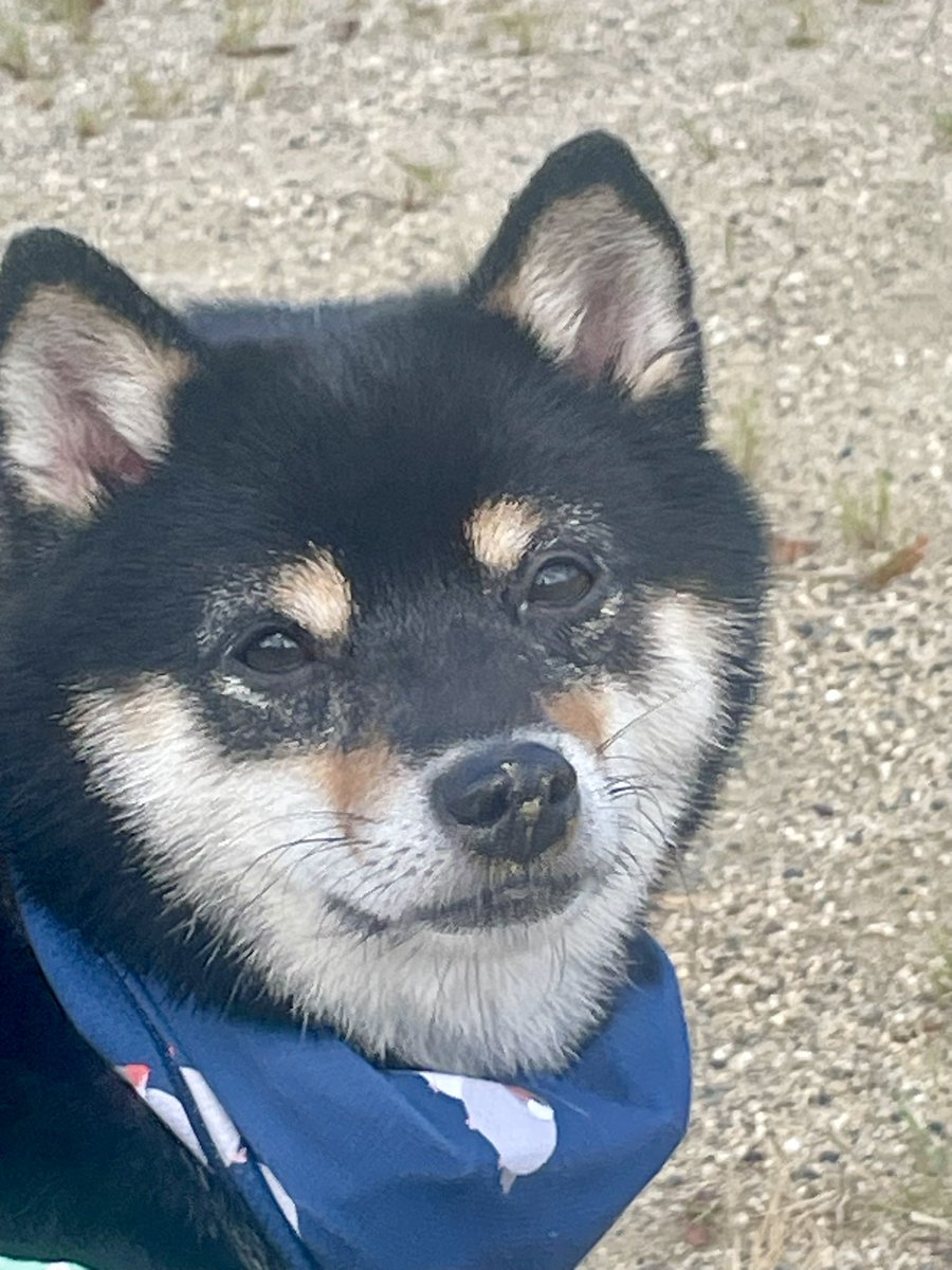 スマホ壊れたのっ
やっと戻ったのっ