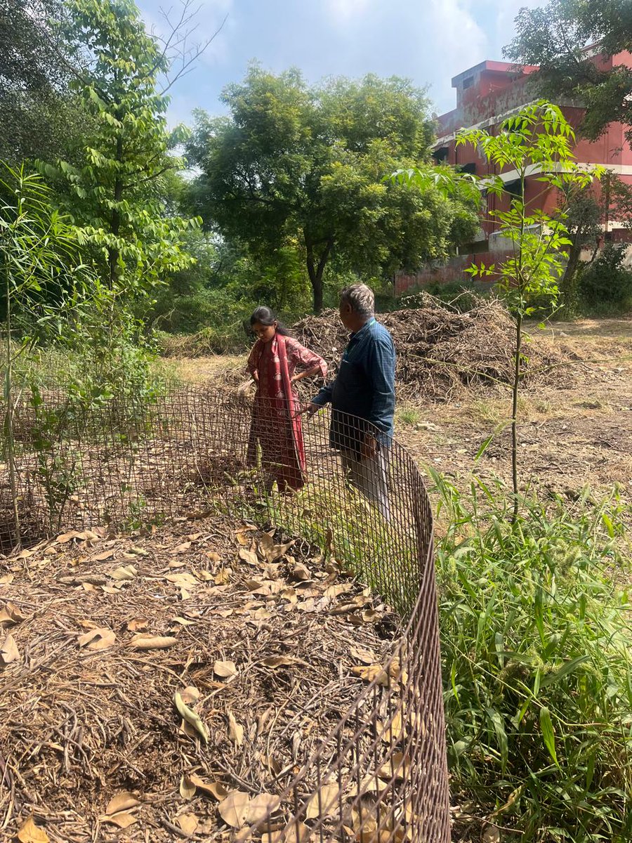 Deputy Commissioner, Rohini Zone, MCD (@dcrohinizone) on Twitter photo On 29.09.2025, DC/RZ inspected Wards 21 & 22 (Sec-6, 11, 16 & 17, Rohini) to review the cleanliness & upkeep of roads, parks, toilets, FCTS & compost sites. Directions issued for immediate rectification of observed issues
<a href="/RajaiqbalSingh3/">Raja Iqbal Singh</a>
<a href="/AshwaniKumar_92/">Ashwani Kumar</a>
<a href="/SBM_MCD/">Swachh Survekshan MCD</a>
<a href="/MCD_IT_HQ/">IT DEPT. MCD</a> On 29.09.2025, DC/RZ inspected Wards 21 & 22 (Sec-6, 11, 16 & 17, Rohini) to review the cleanliness & upkeep of roads, parks, toilets, FCTS & compost sites. Directions issued for immediate rectification of observed issues
<a href="/RajaiqbalSingh3/">Raja Iqbal Singh</a>
<a href="/AshwaniKumar_92/">Ashwani Kumar</a>
<a href="/SBM_MCD/">Swachh Survekshan MCD</a>
<a href="/MCD_IT_HQ/">IT DEPT. MCD</a>