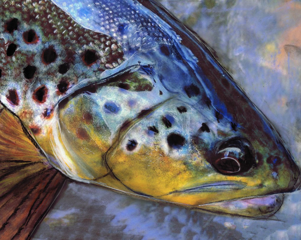Golden Brown Trout – Pastel &amp; Watercolour Fishing Art Print by Jack Tarpon dogfishart.com/products/golde… #painting #OscarJetson #BrownTroutPastelArt